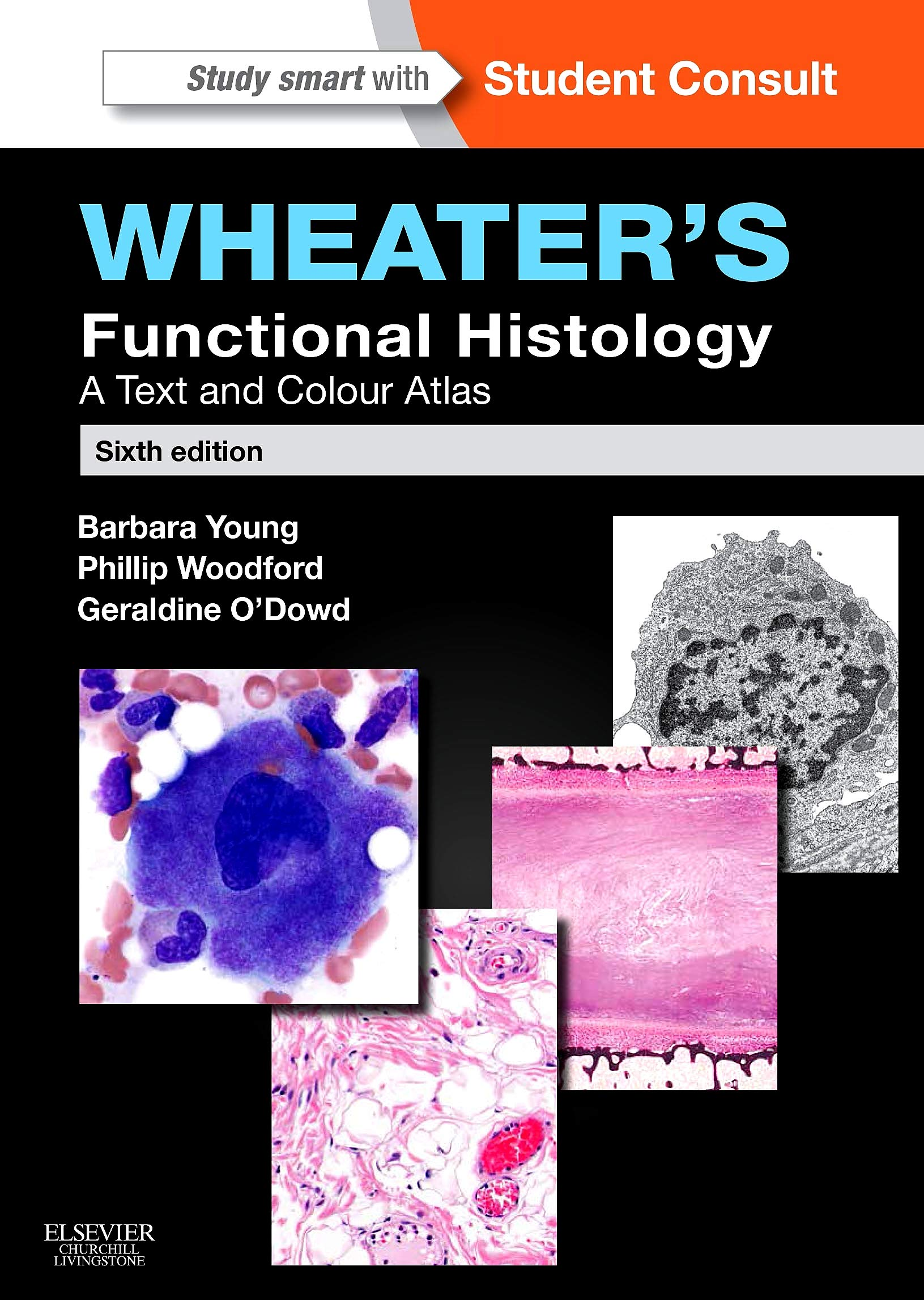 Wheater's Functional Histology By Barbara Young And Phillip Woodford