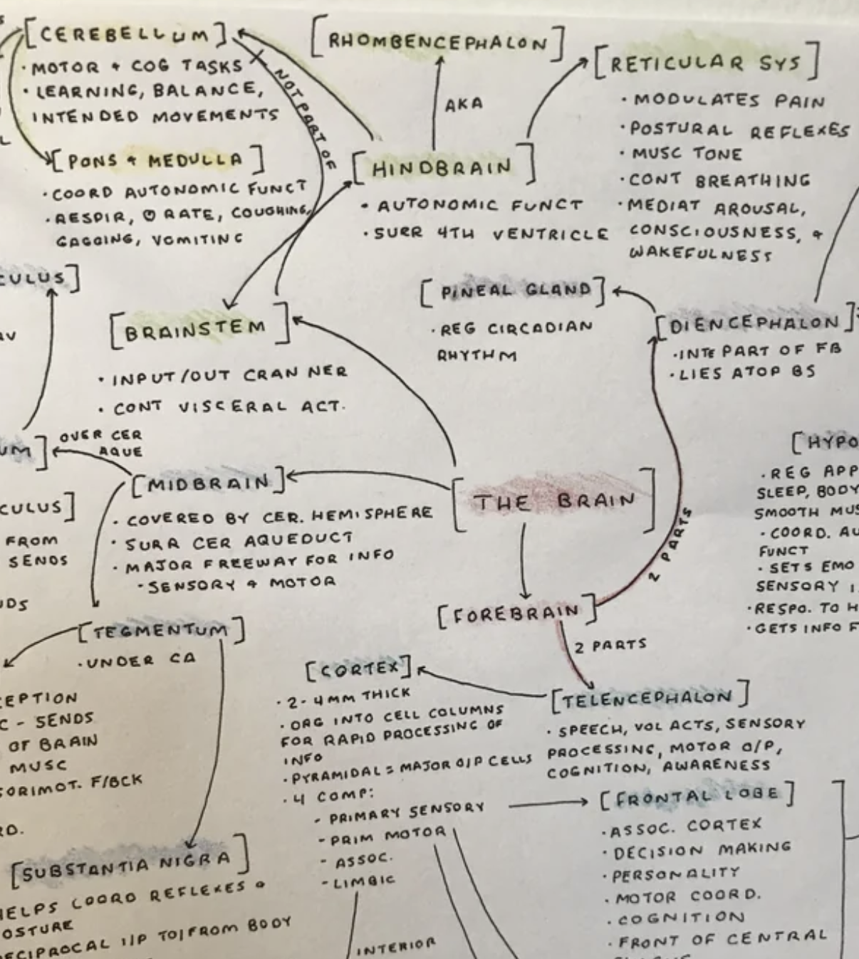 Mindmap example for Neuroanatomy from one of the medical students of the community