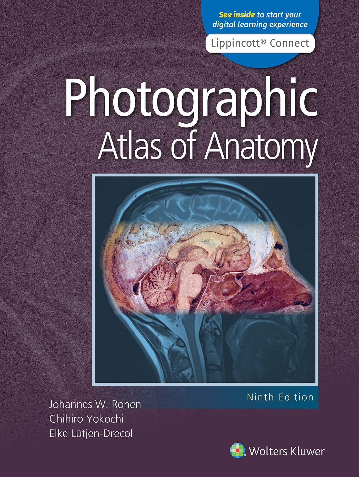 Anatomy: A Photographic Atlas (by Johannes W. Rohen, Chihiro Yokochi, and Elke Lütjen-Drecoll)